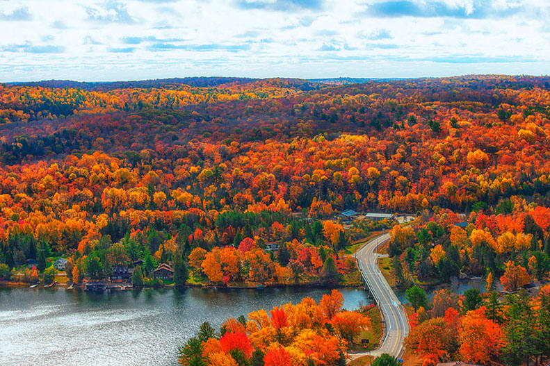 Aerial shot of a forest and lake in autumn